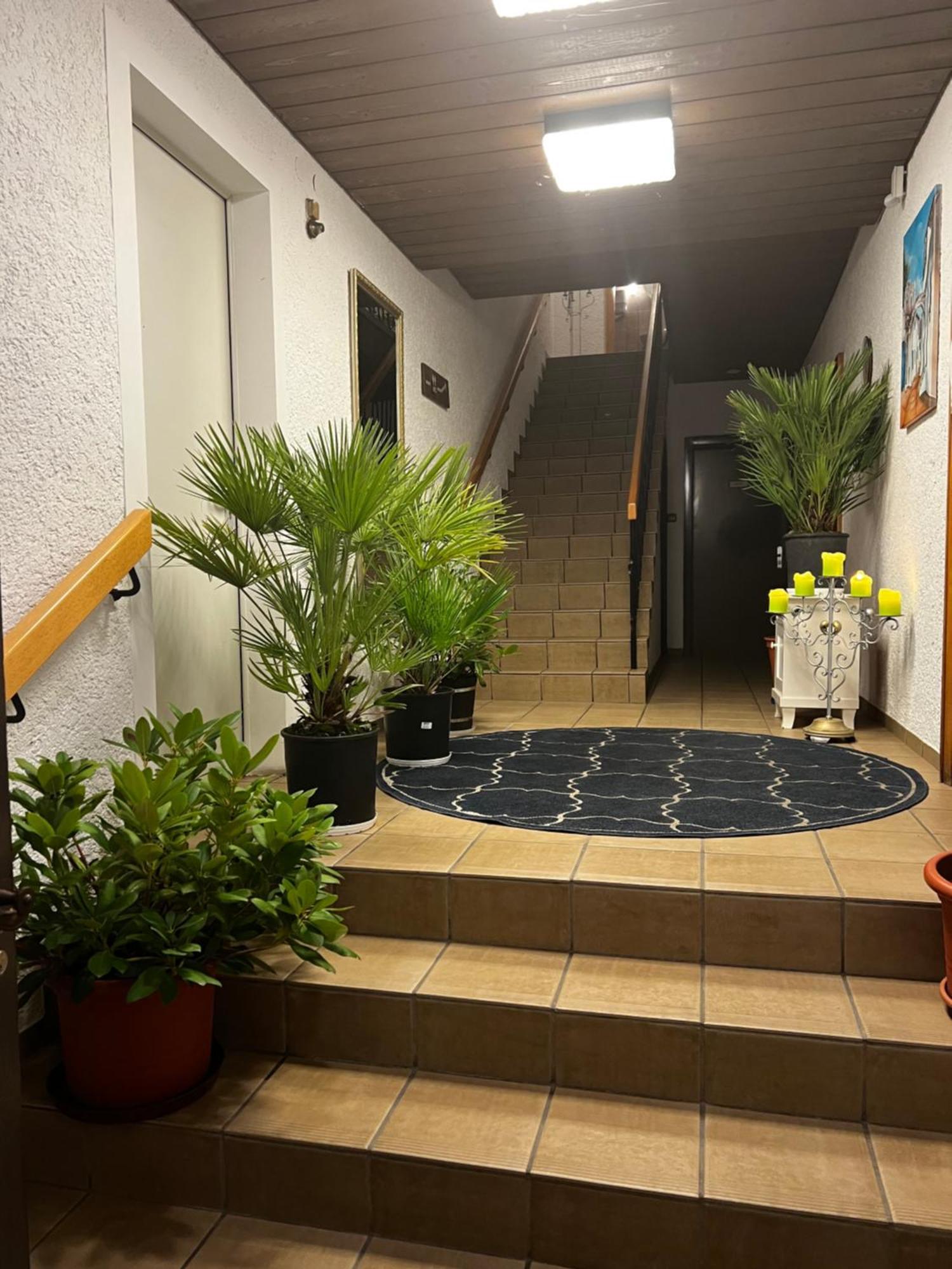 Gasthof Stern Asteri Frickenhausen  Экстерьер фото